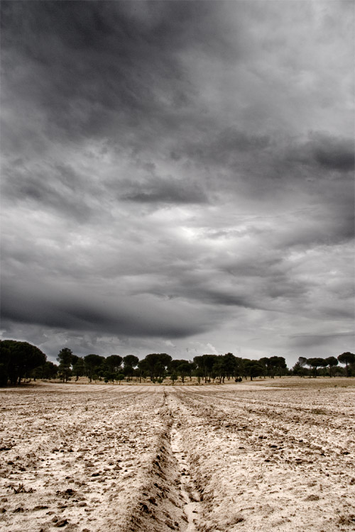 Tormenta